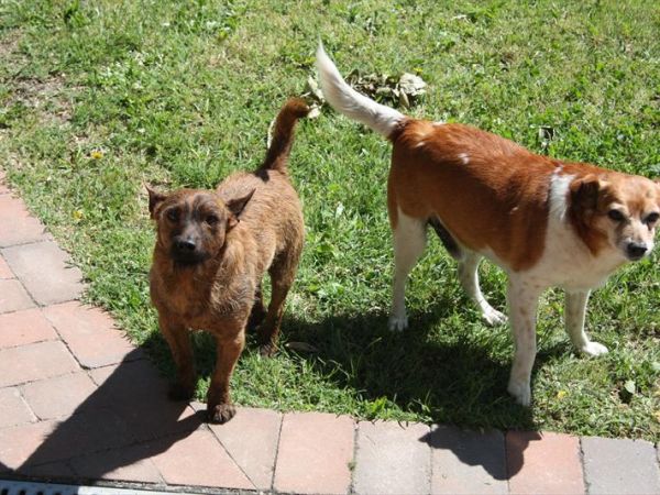 Azienda Agrituristica Valgrande - foto 41891.jpg