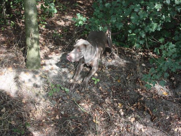 Azienda Agrituristica Valgrande - foto 41892.jpg