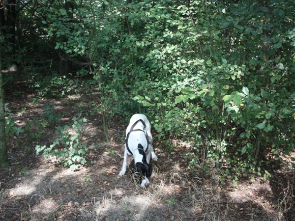 Azienda Agrituristica Valgrande - foto 41893.jpg