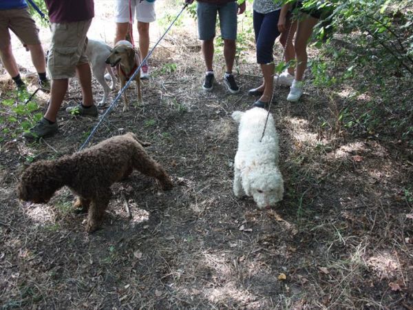 Azienda Agrituristica Valgrande - foto 41894.jpg
