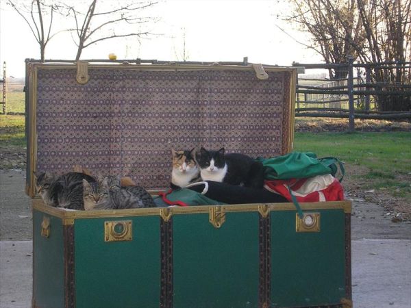 Azienda Agrituristica Valgrande - foto 41895.jpg