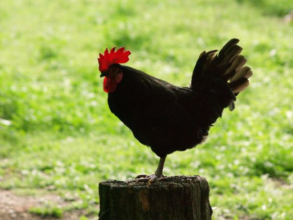 Azienda Agrituristica Valgrande - foto 41897.jpg