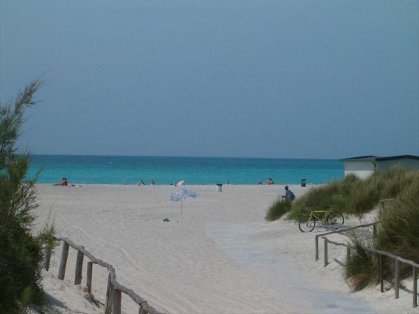 Agriturismo le Biricoccole - foto 41927.jpg