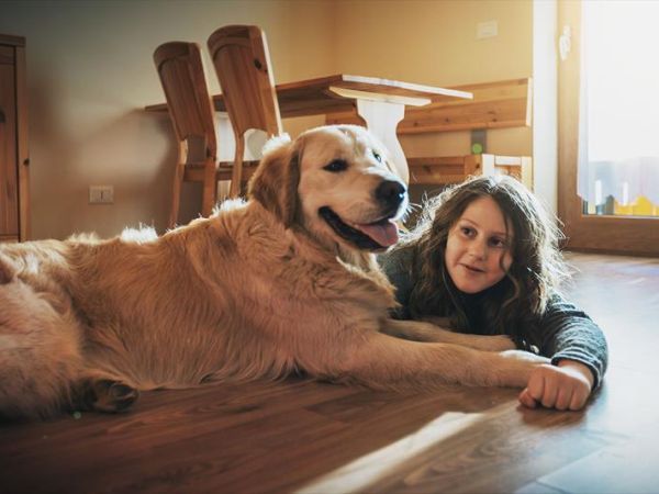 LA MARMOTE Albergo Diffuso di Paluzza - foto 42157.jpg