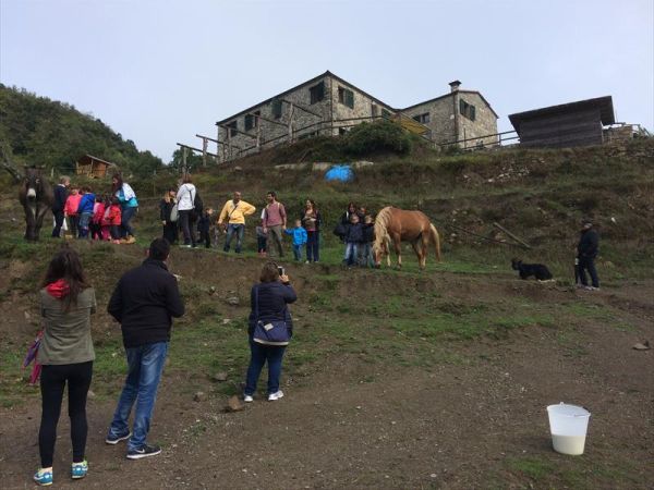 Agriturismo degli Olivi  - foto 42231.jpg