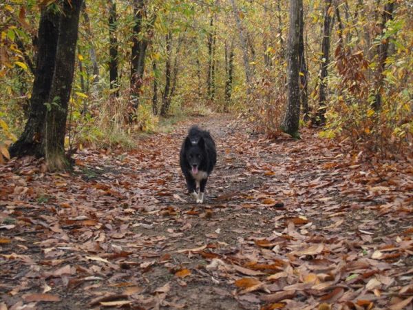 Agriturismo degli Olivi  - foto 42239.jpg