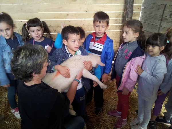 Agriturismo degli Olivi  - foto 42240.jpg