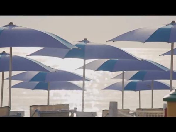 ISLAMORADA - Dog Beach  - foto 42278.jpg