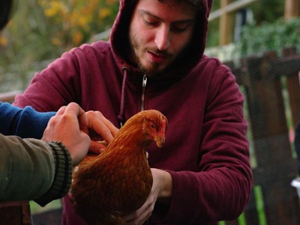 Agriturismo La Fontaccia - foto 42299.jpg