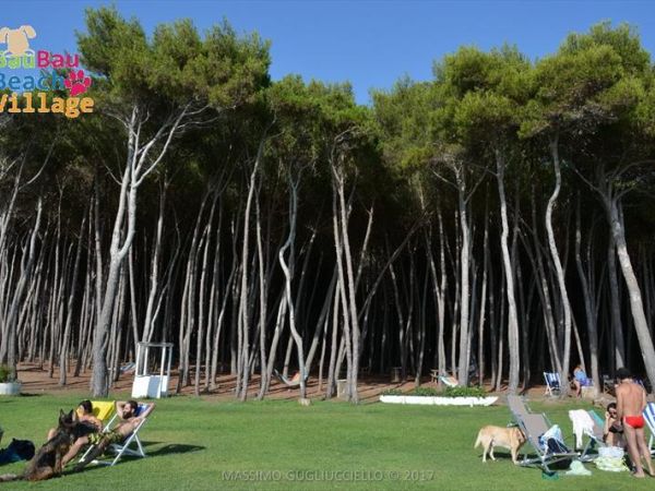 Bau Bau Beach Village Spiaggia - foto 42322.jpg