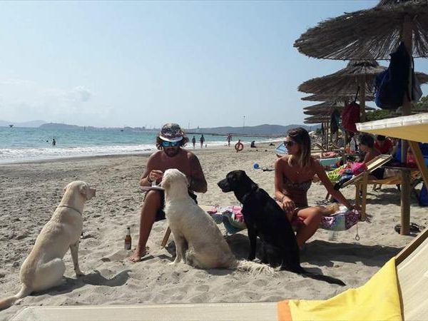 Spiaggia Pascia Glam Beach  - foto 42427.jpg