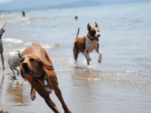 Agriturismo Masseto - foto 42449.jpg