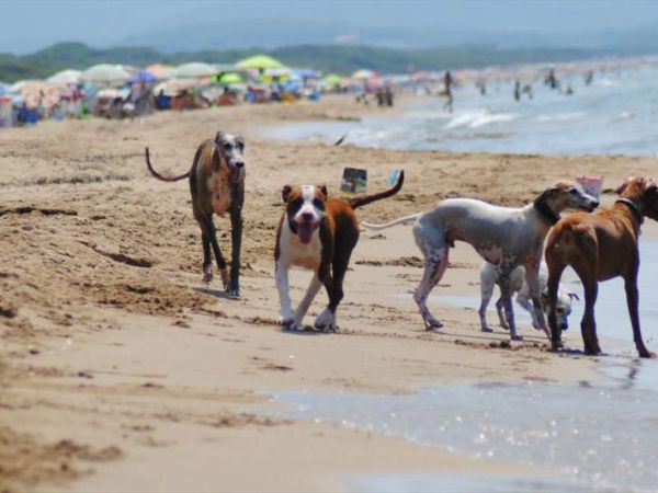 Agriturismo Masseto - foto 42450.jpg