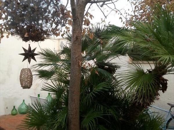 Brezza Marina - foto 42464.jpg