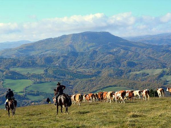 Agriturismo Ca Licozzo - foto 42520.jpg
