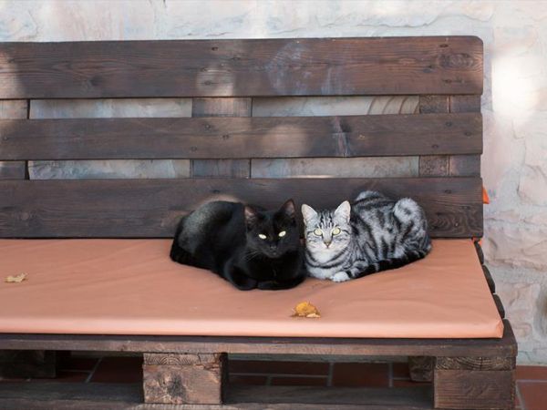 Agriturismo Ca Licozzo - foto 42525.jpg