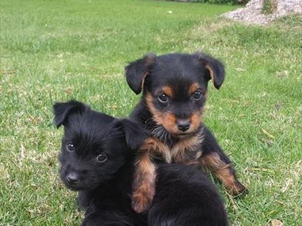 Agriturismo Guthiddai - foto 42644.jpg