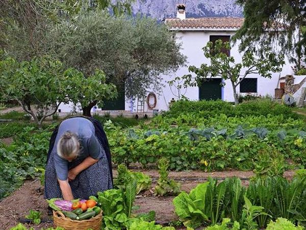 Agriturismo Guthiddai - foto 42652.jpg