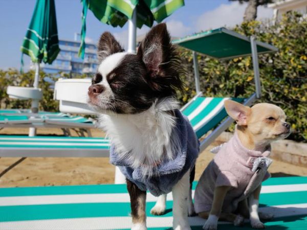 Hotel Croce di Malta - foto 42670.jpg