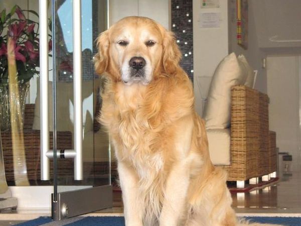 Hotel Croce di Malta - foto 42677.jpg