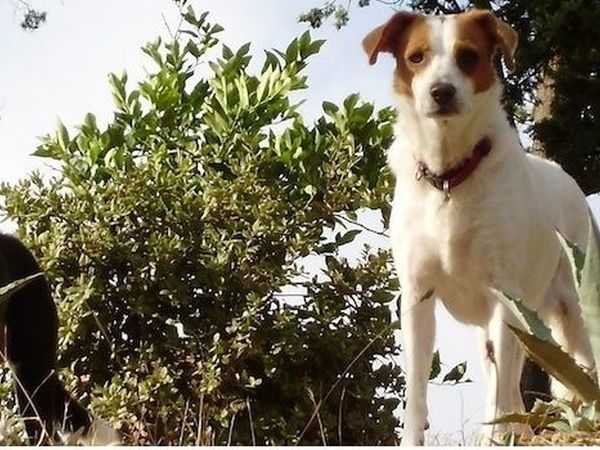 BeVedetta - foto 42776.jpg