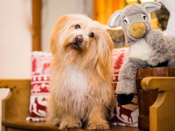 Agritur Solasna - foto 42790.jpg