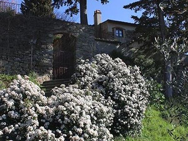 Azienda Agricola Frascole - foto 42836.jpg