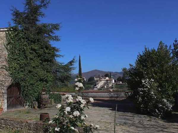 Azienda Agricola Frascole - foto 42842.jpg