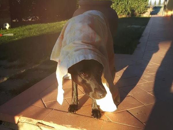 Agriturismo Casanova - foto 42854.jpg