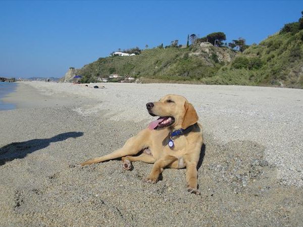 Casale di Tocco - foto 42881.jpg