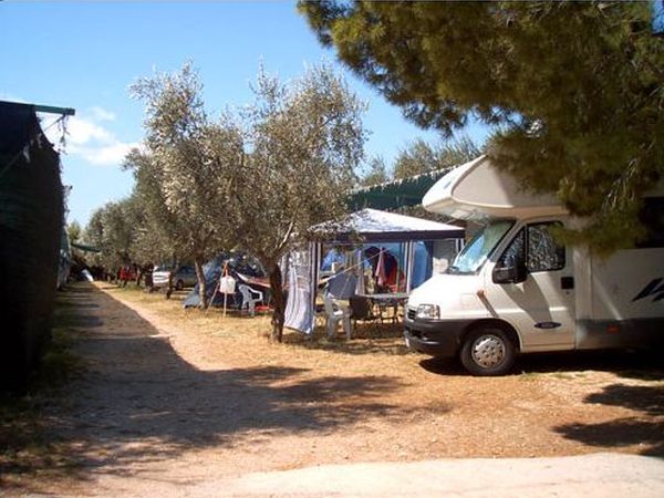 Villaggio Turistico Fontana delle Rose - foto 13737.jpg