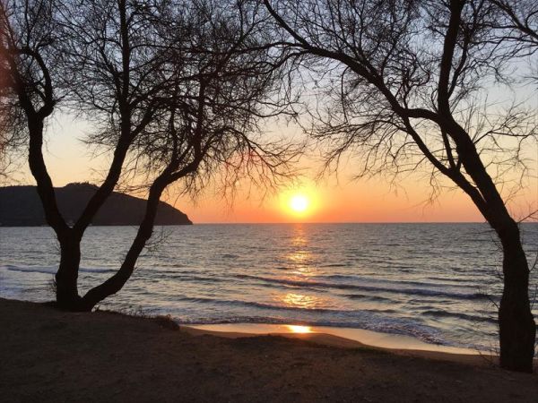 Agriturismo lOliveto - foto 42916.jpg