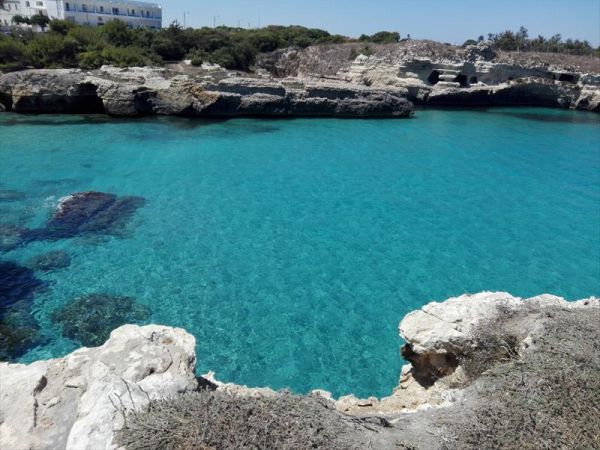 Oasis Park Hotel - foto 42969.jpg