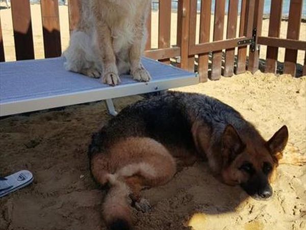 Europa Tourist Group Bibione - foto 42993.jpg