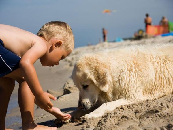 Hotel Olimpia - foto 43006.jpg