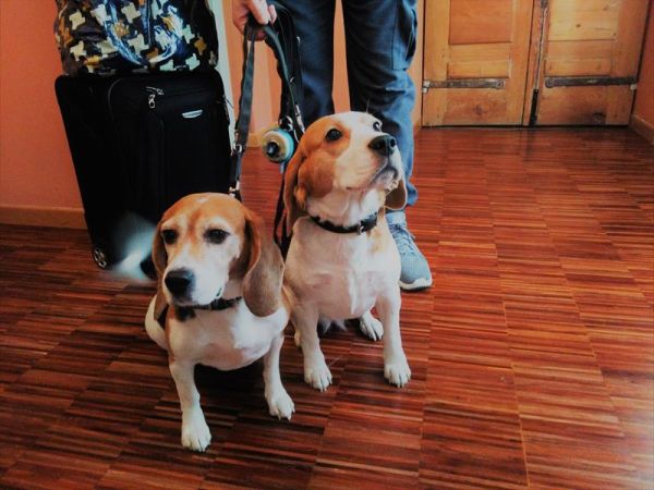 Albergo San Lorenzo - foto 43087.jpg