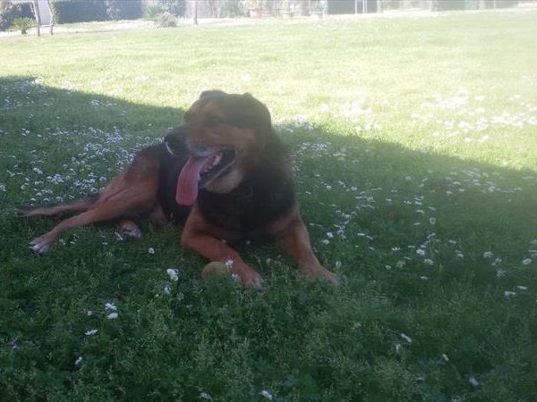 Oasi di Maremma - foto 43118.jpg