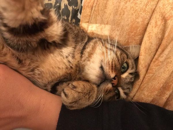 Oasi di Maremma - foto 43119.jpg