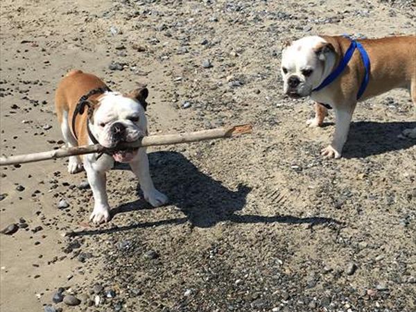 Spiaggia Pascia Glam Beach  - foto 43175.jpg