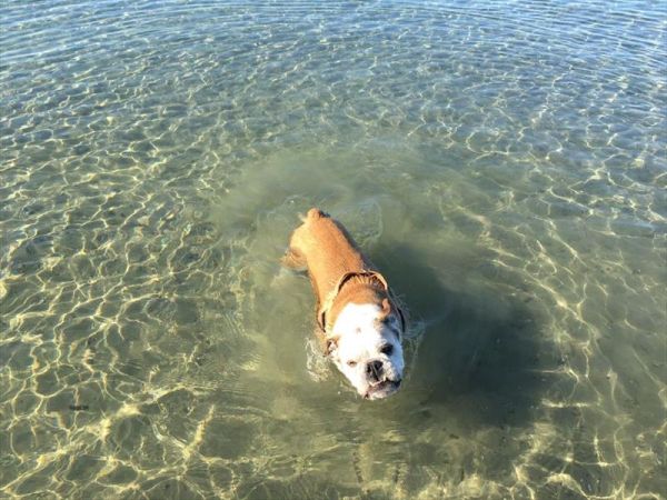 Spiaggia Pascia Glam Beach  - foto 43176.jpg