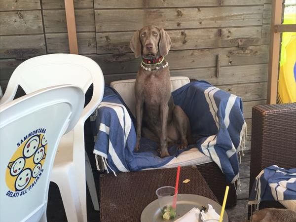 Spiaggia Pascia Glam Beach  - foto 43185.jpg