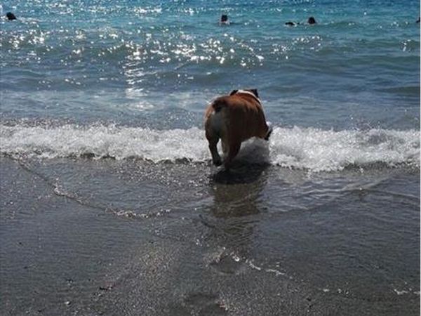 Spiaggia Pascia Glam Beach  - foto 43188.jpg