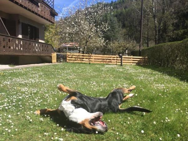Casa... e Cuccia Lago di Ledro - foto 43194.jpg