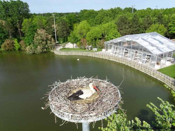 La Campaza - foto 43200.jpg