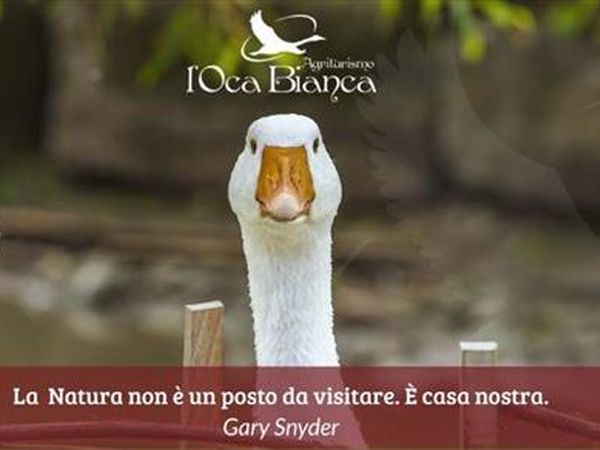L�Oca Bianca  - foto 43296.jpg