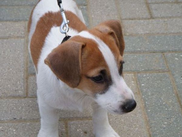 Bagno 80 Vida Loca Beach - foto 43338.jpg