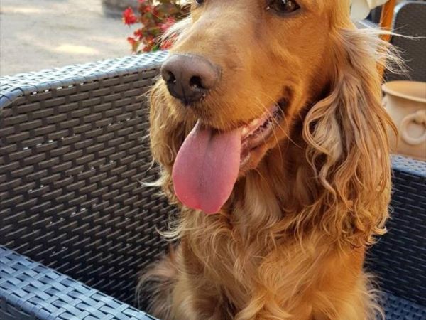 Hotel Le Colline - foto 43377.jpg