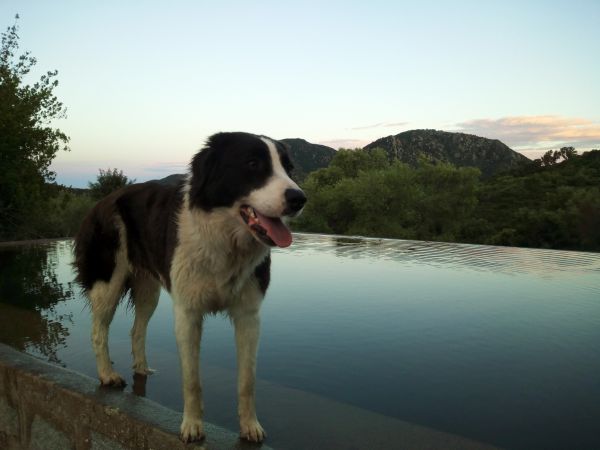 Nuraghe Murtarba - foto 43402.jpg