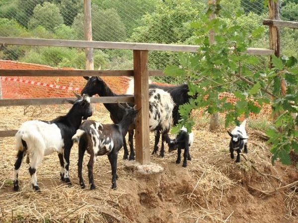 Agriturismo lIntrovabile - foto 12594.jpg