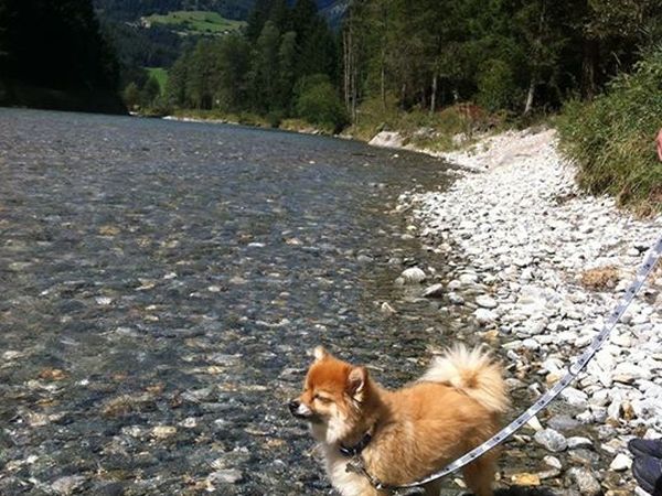 Hotel Sonja - foto 43462.jpg